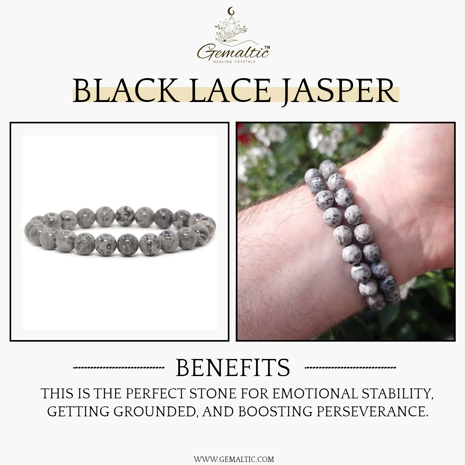 Black Lace Jasper 1