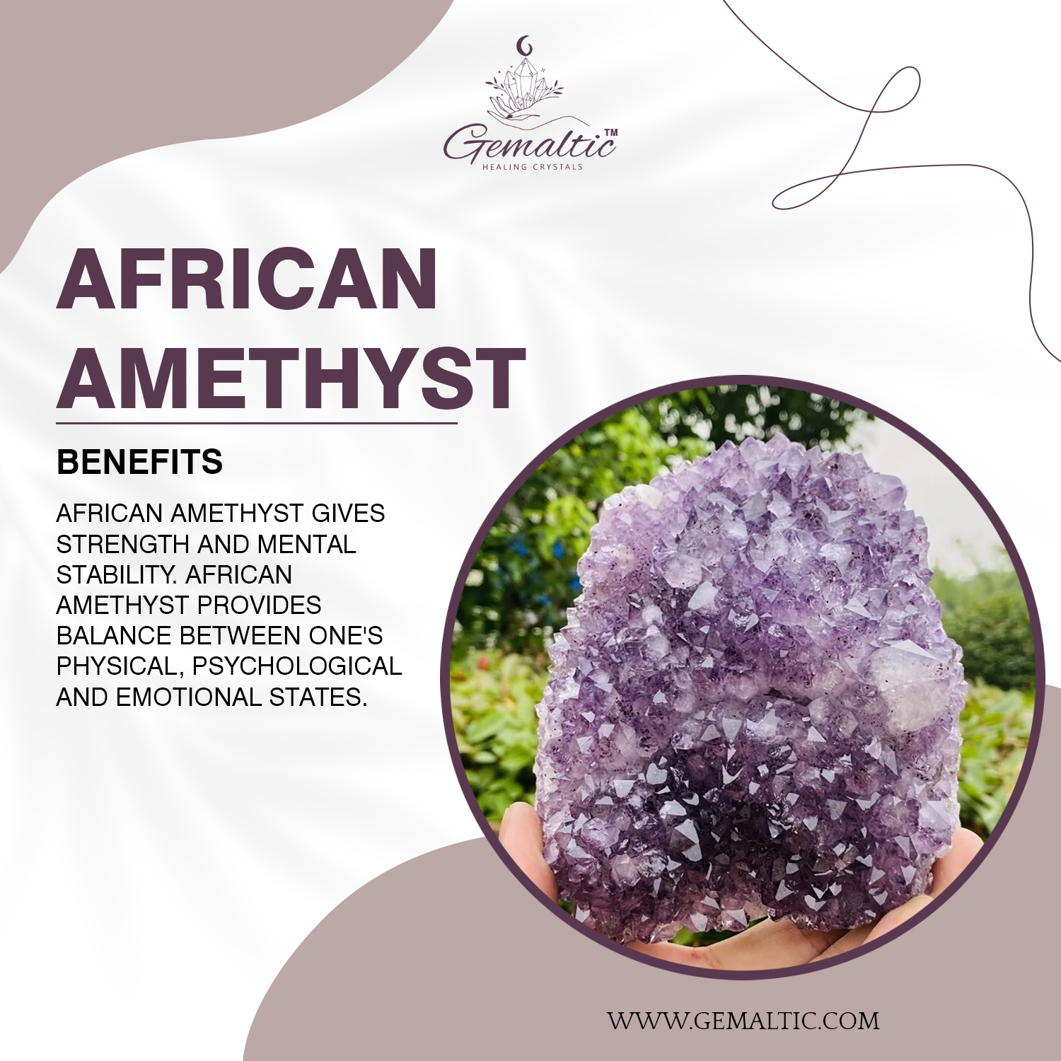 African Amethyst 1