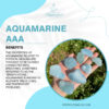 Aquamarine 1 100x100