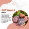 Botswana 100x100