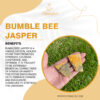 Bumble Bee Jasper 100x100