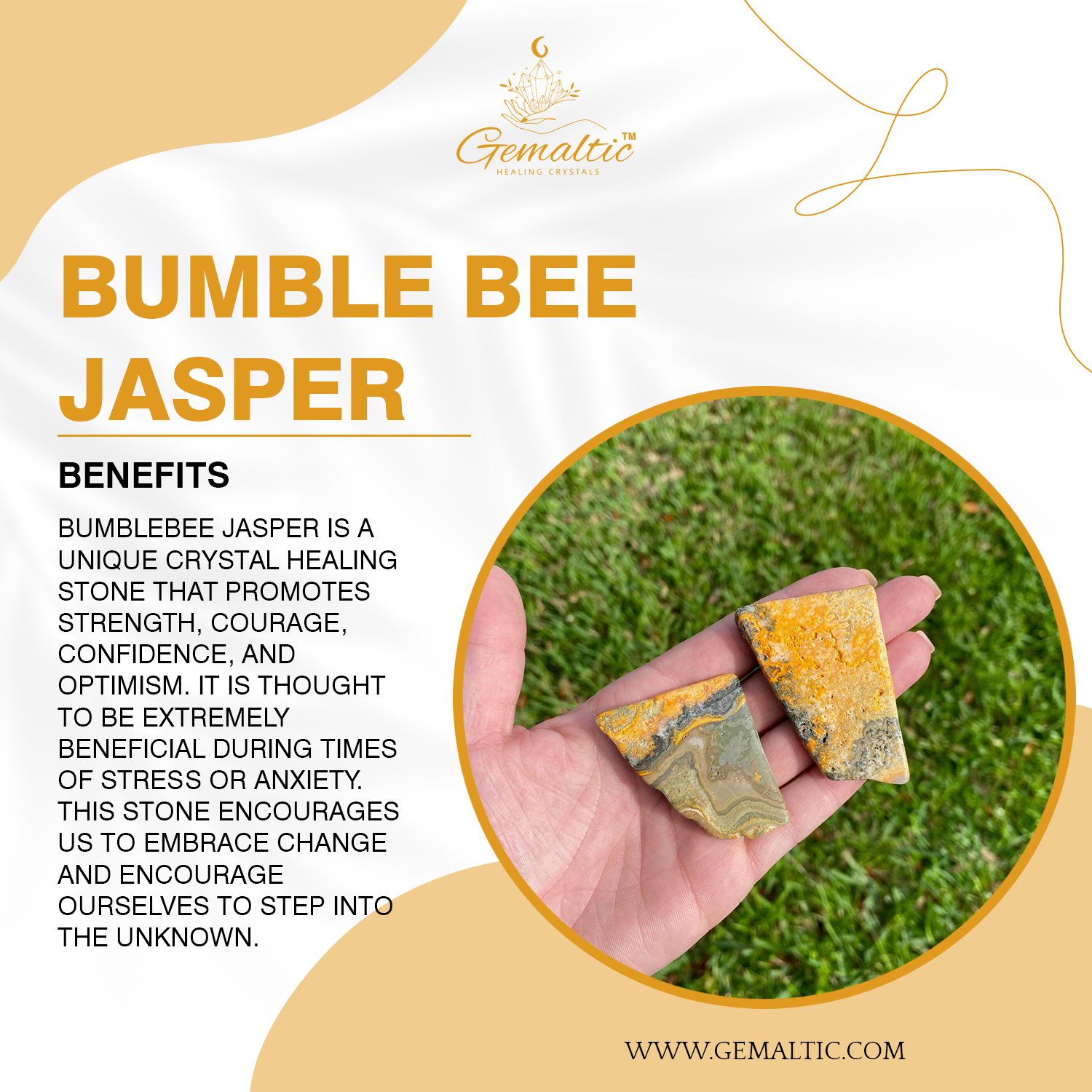 Bumble Bee Jasper