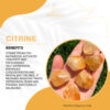 Cirtine 1 100x100