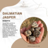 Dalmatian Jasper 100x100