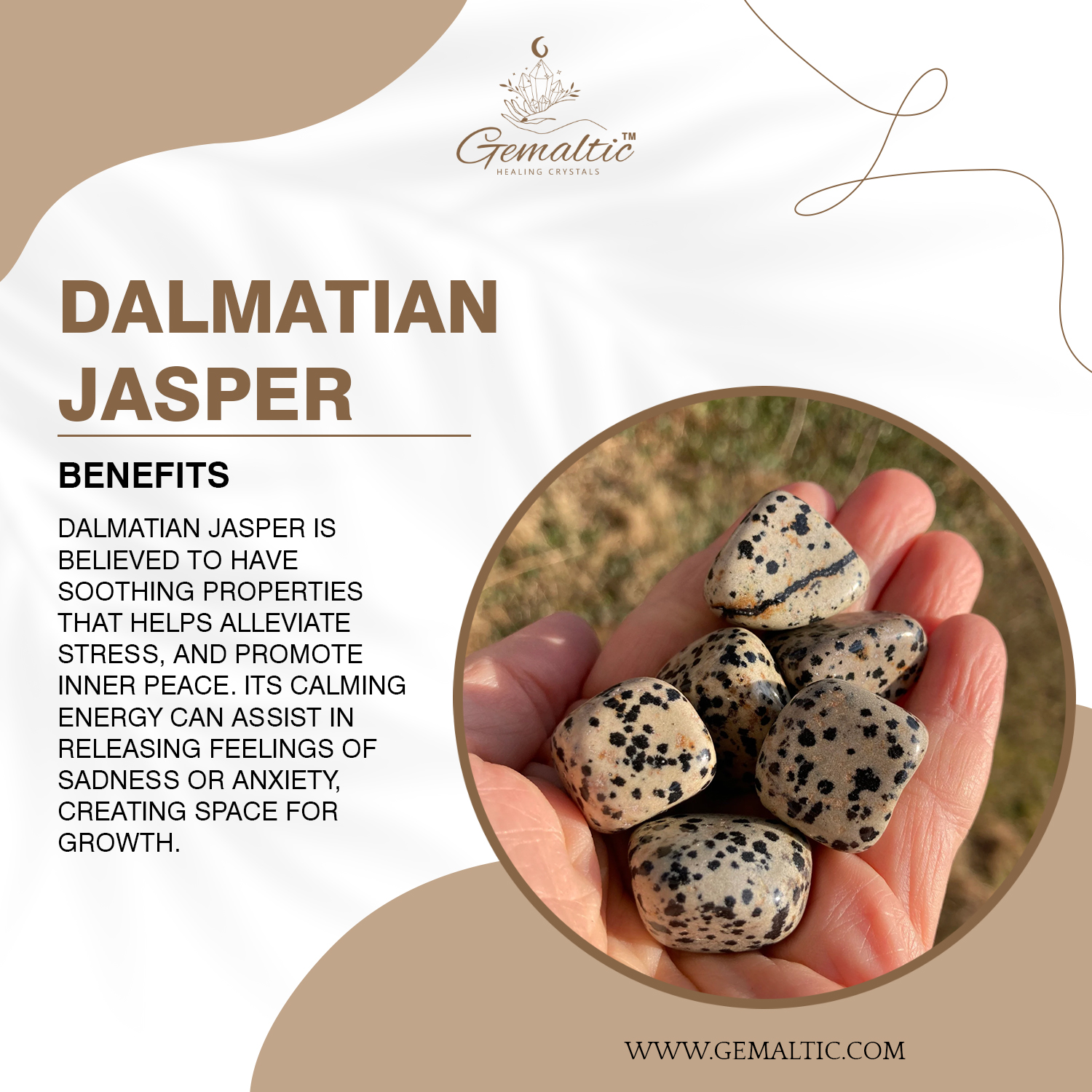 Dalmatian Jasper