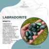Labradorite 1 100x100