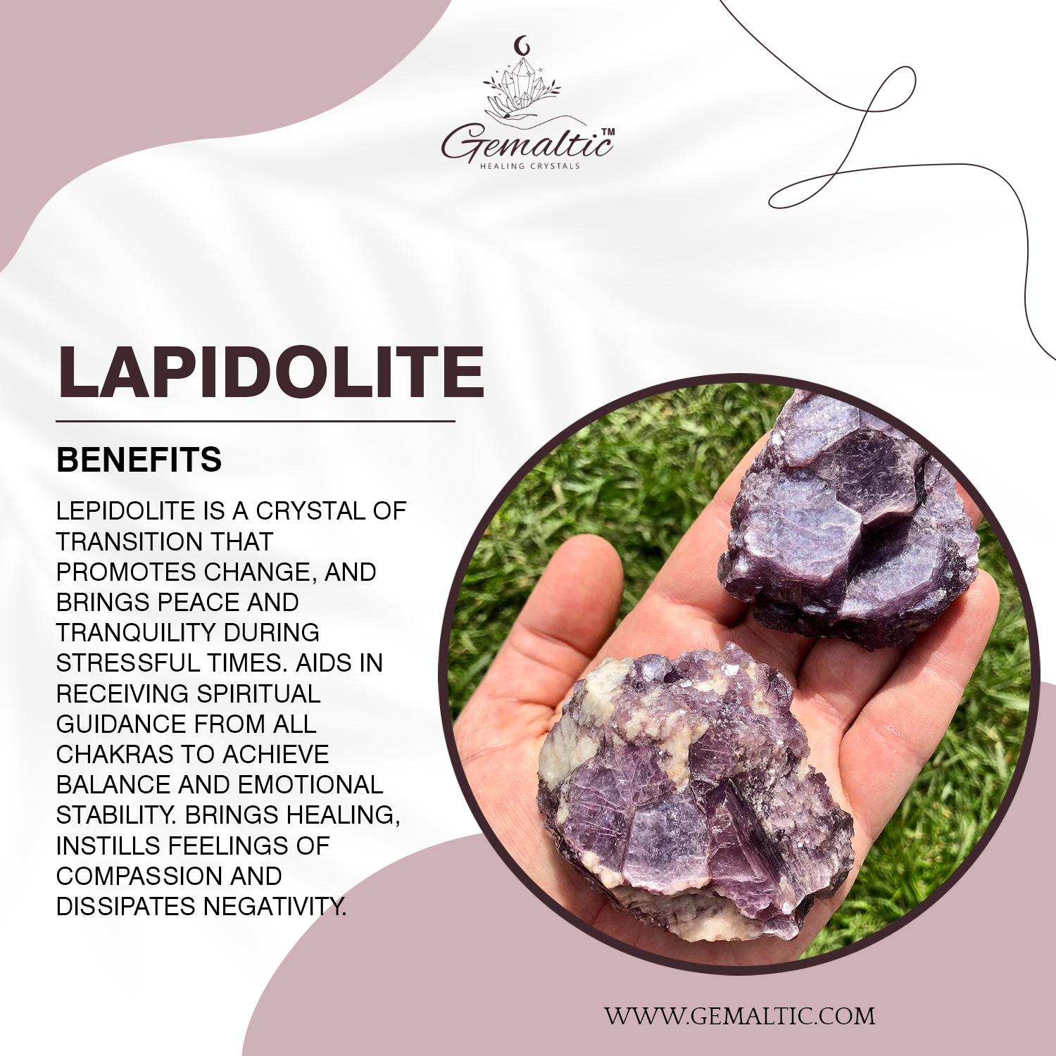 Lapidolite