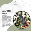 Llanite 100x100