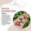 Peach Moonstone 1 100x100
