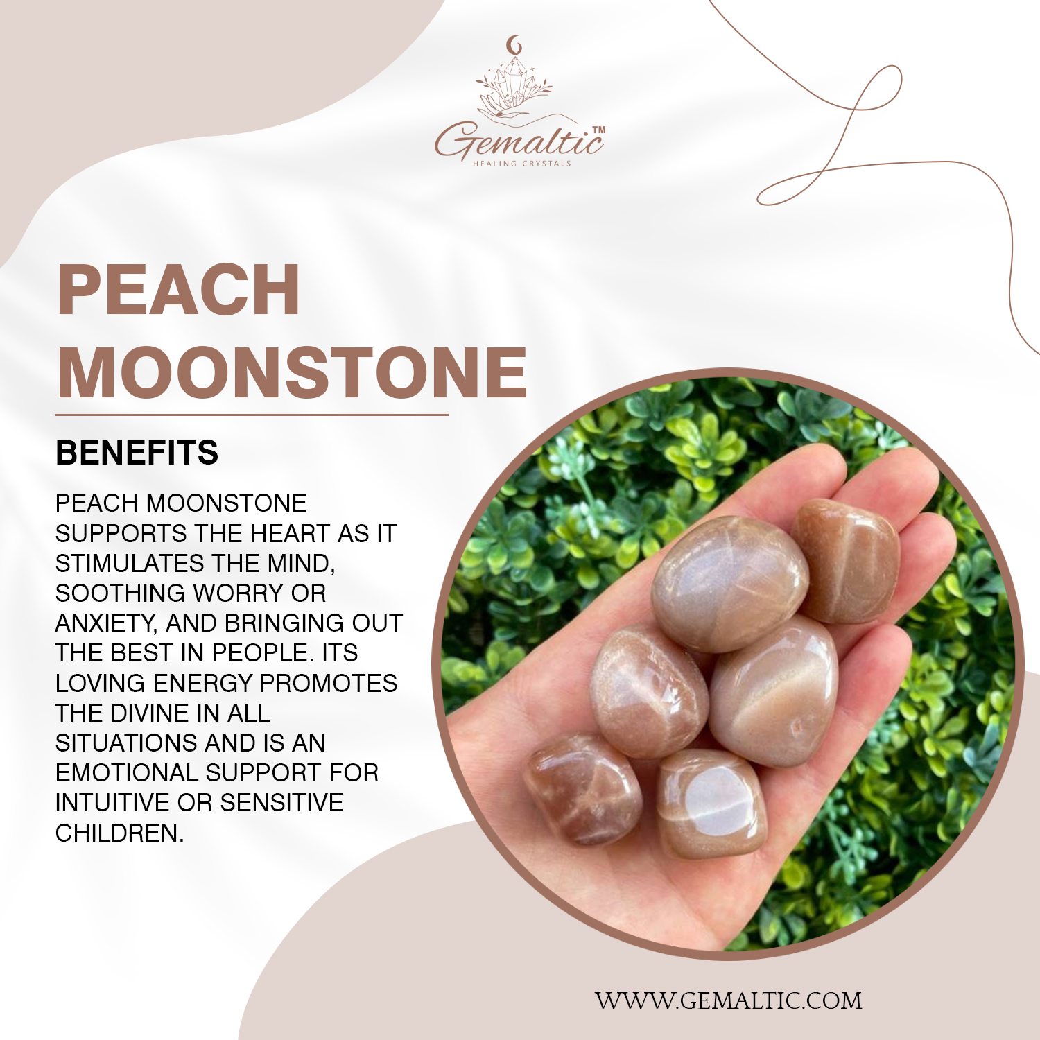 Peach Moonstone 1