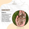 Smokey 100x100