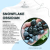 Snowflake Obsidian 100x100