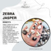 Zebra Jasper 100x100