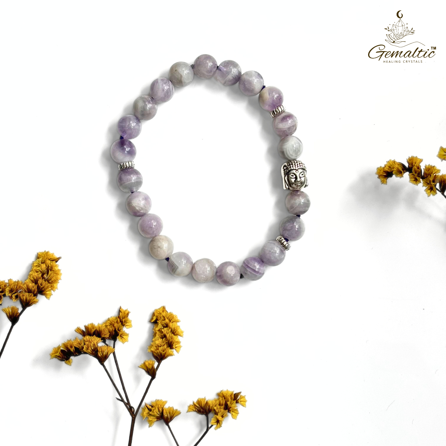 African Amethyst 2