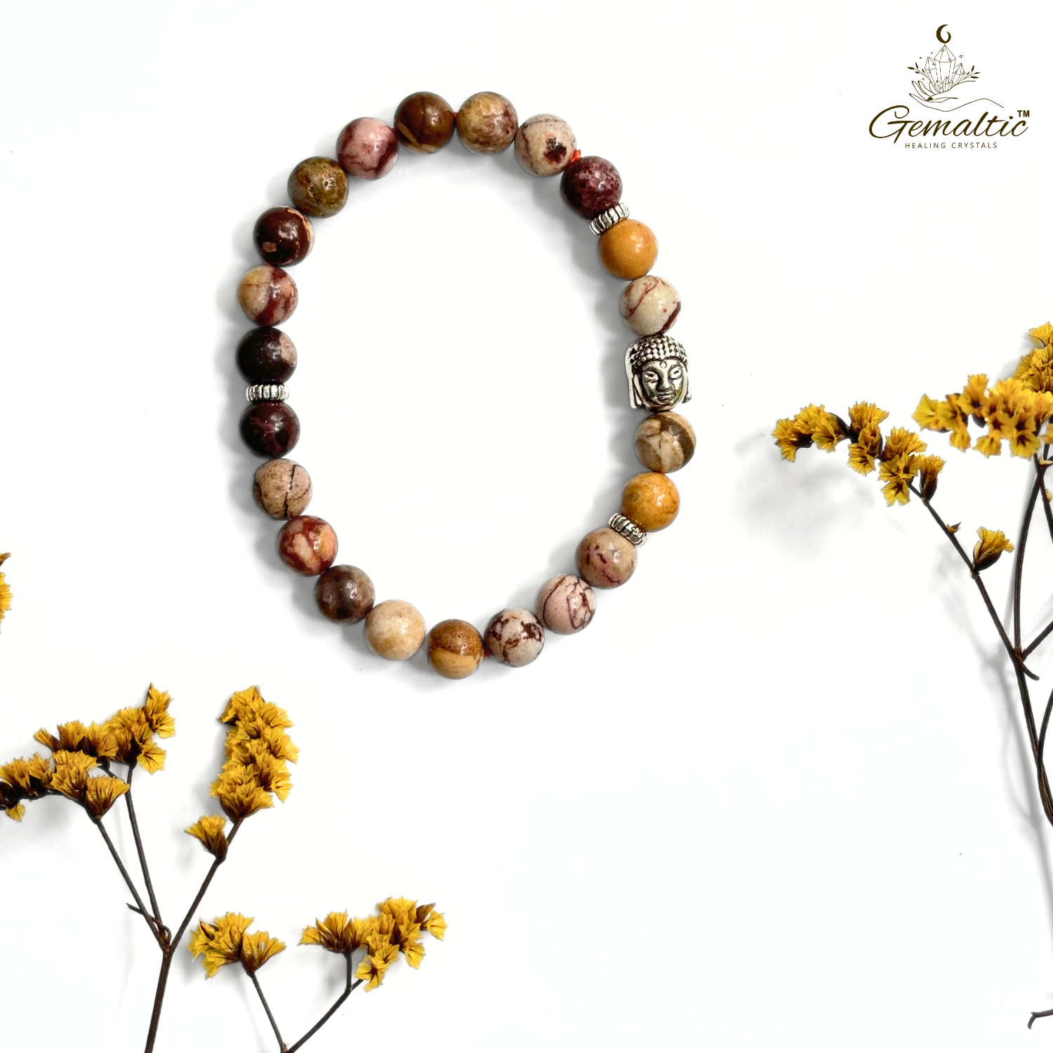 African Zebra Jasper 3