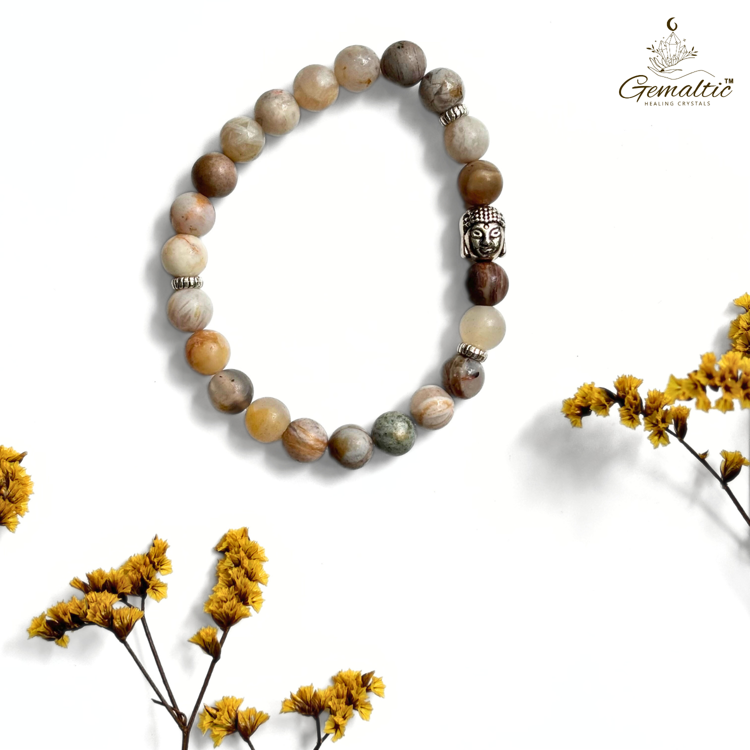 Bamboo Leaf Agate 1