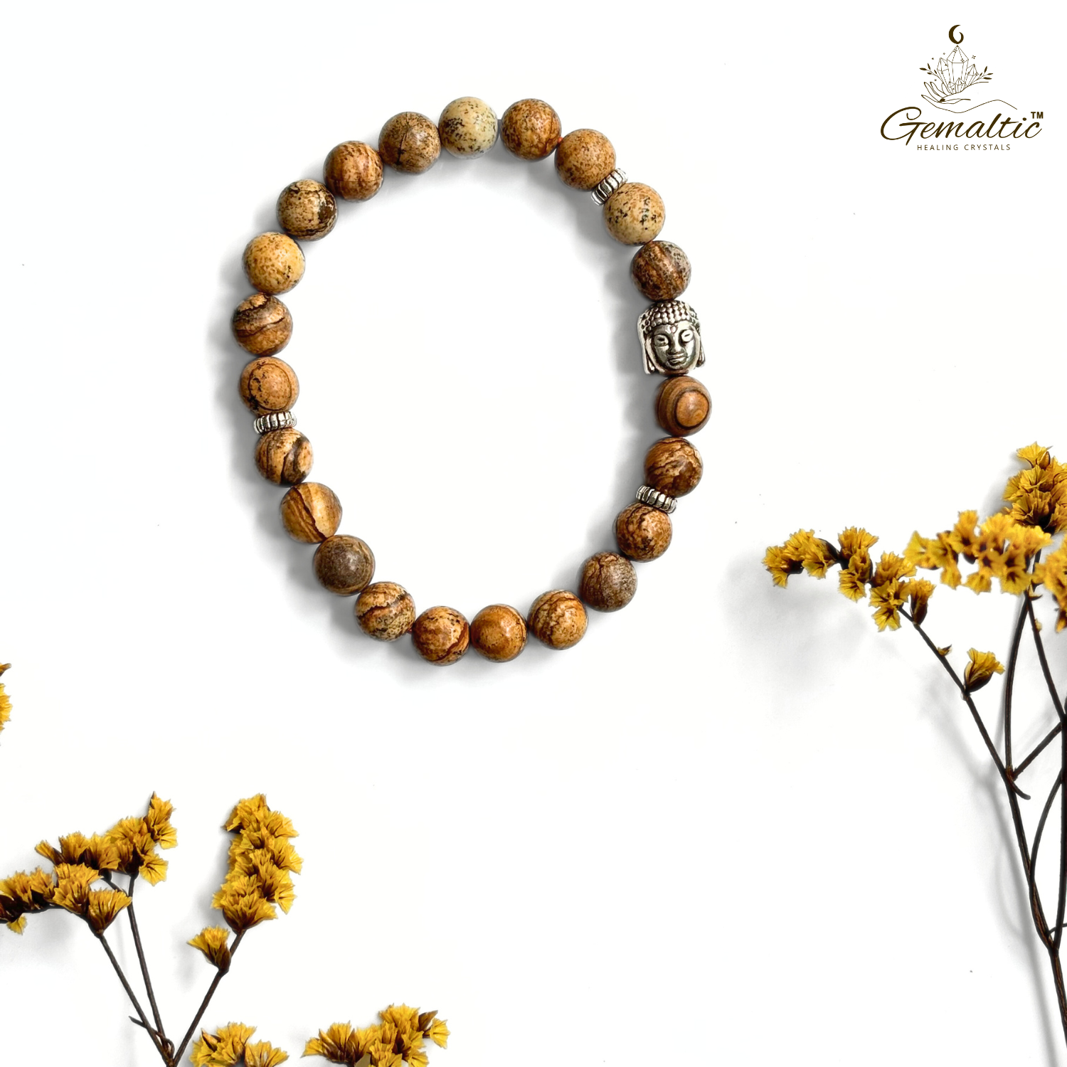 Picture Jasper 1