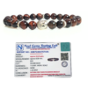 Red Tiger Eye 100x100