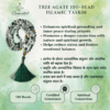 Tree Agate 2 100x100